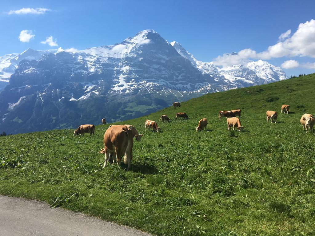 Apartamento Locherboden Grindelwald